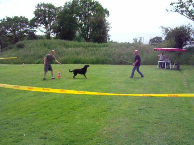 Fidjy-anis du Royaume D'Elsa - Excellent au test de caractère