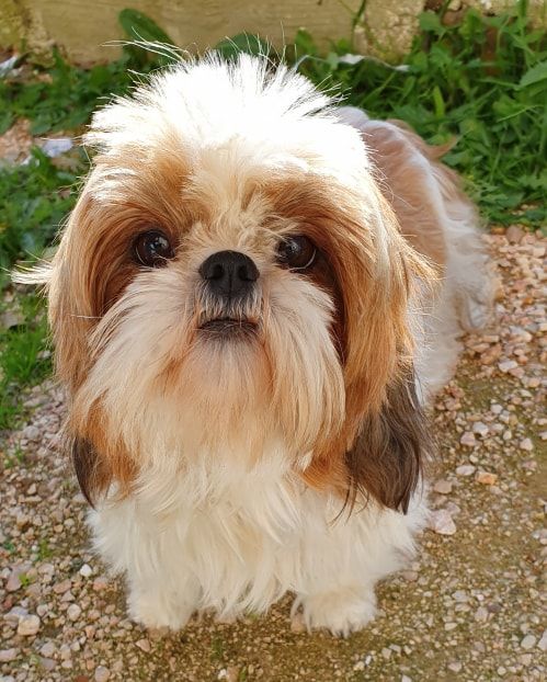 Publication : Des Terres De Miss Blue