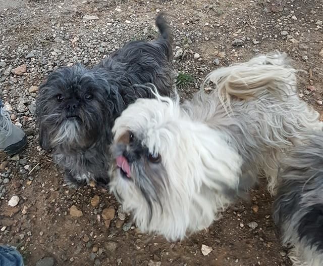 Publication : Des Terres De Miss Blue