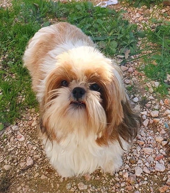 Publication : Des Terres De Miss Blue