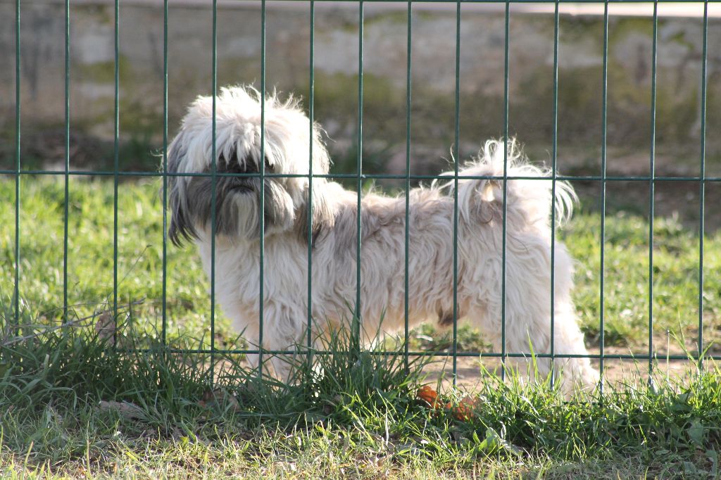 Publication : Des Terres De Miss Blue