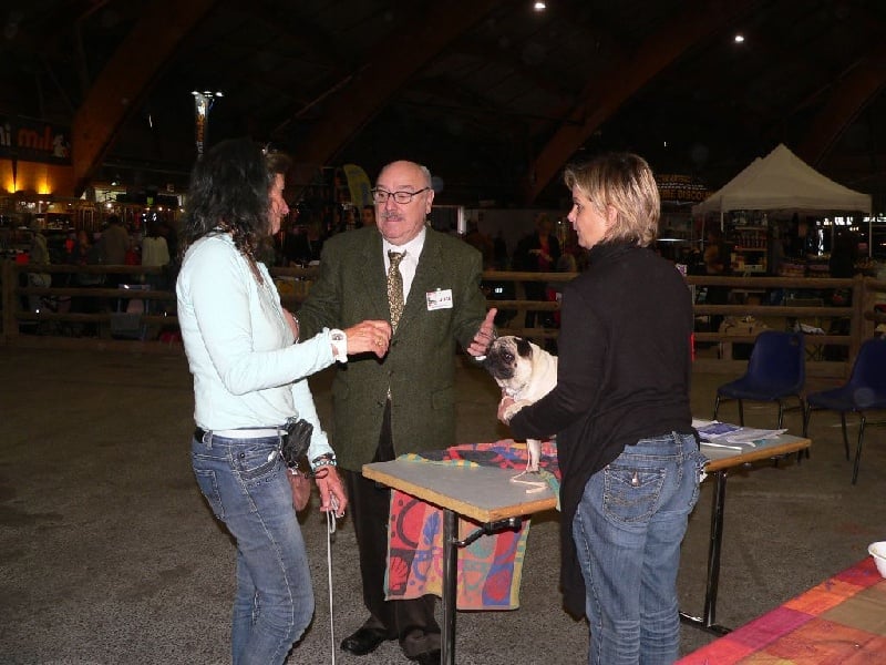 Iona Des Terres De Miss Blue