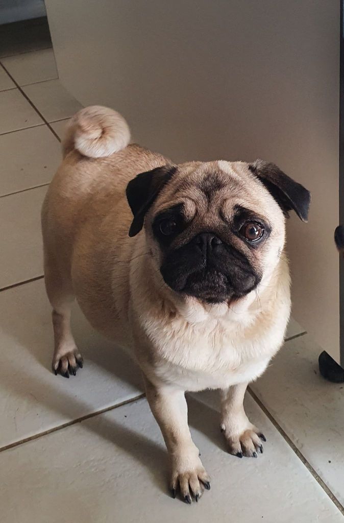 Publication : Des Terres De Miss Blue