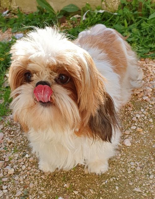 Publication : Des Terres De Miss Blue