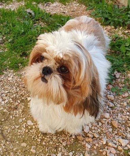 Publication : Des Terres De Miss Blue