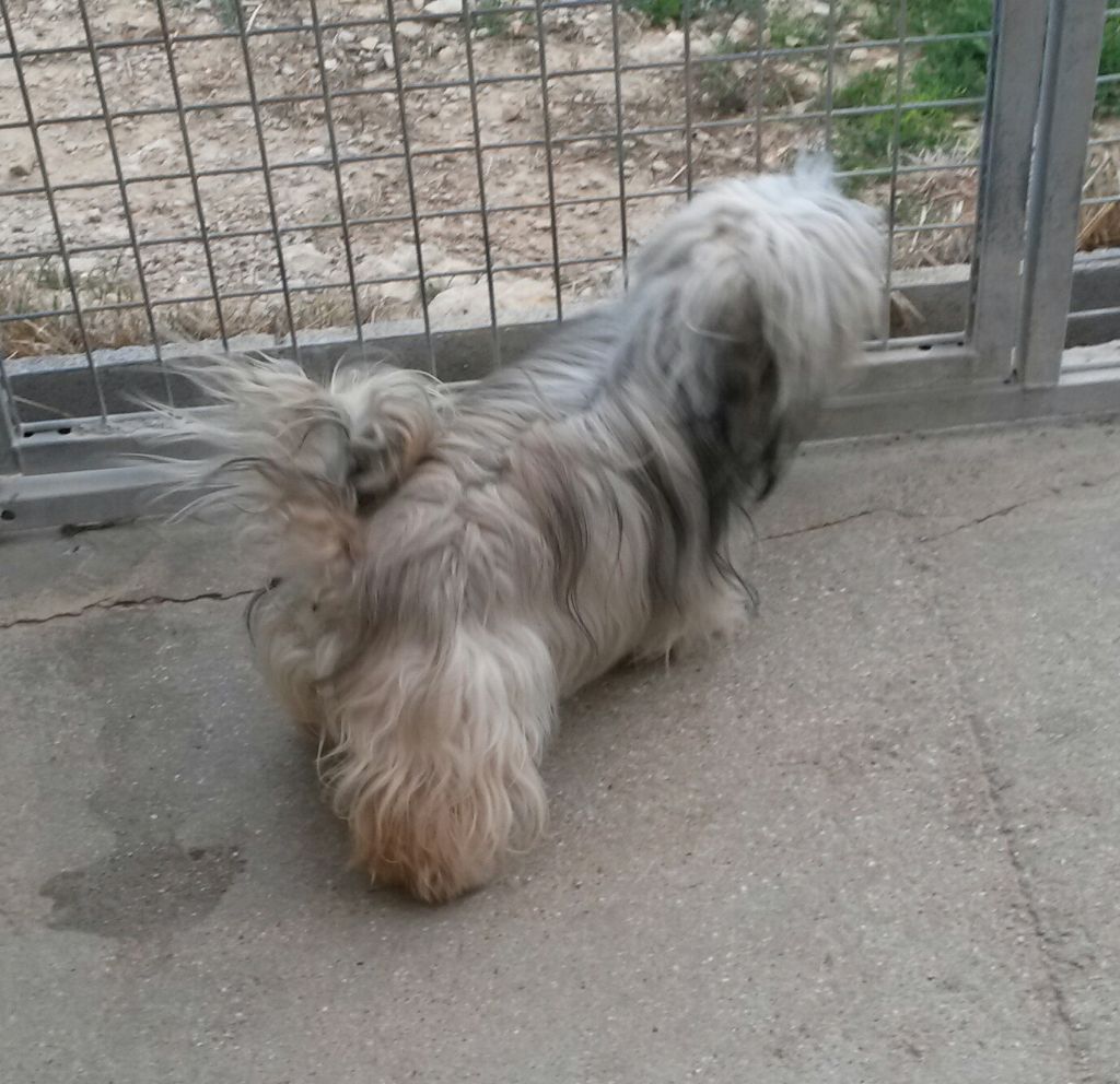 Publication : Des Terres De Miss Blue