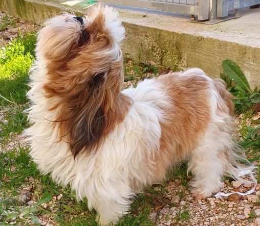 Publication : Des Terres De Miss Blue