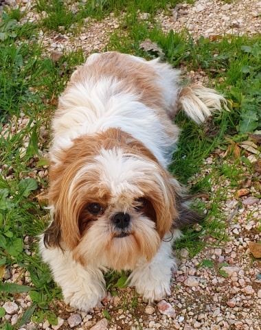 Publication : Des Terres De Miss Blue