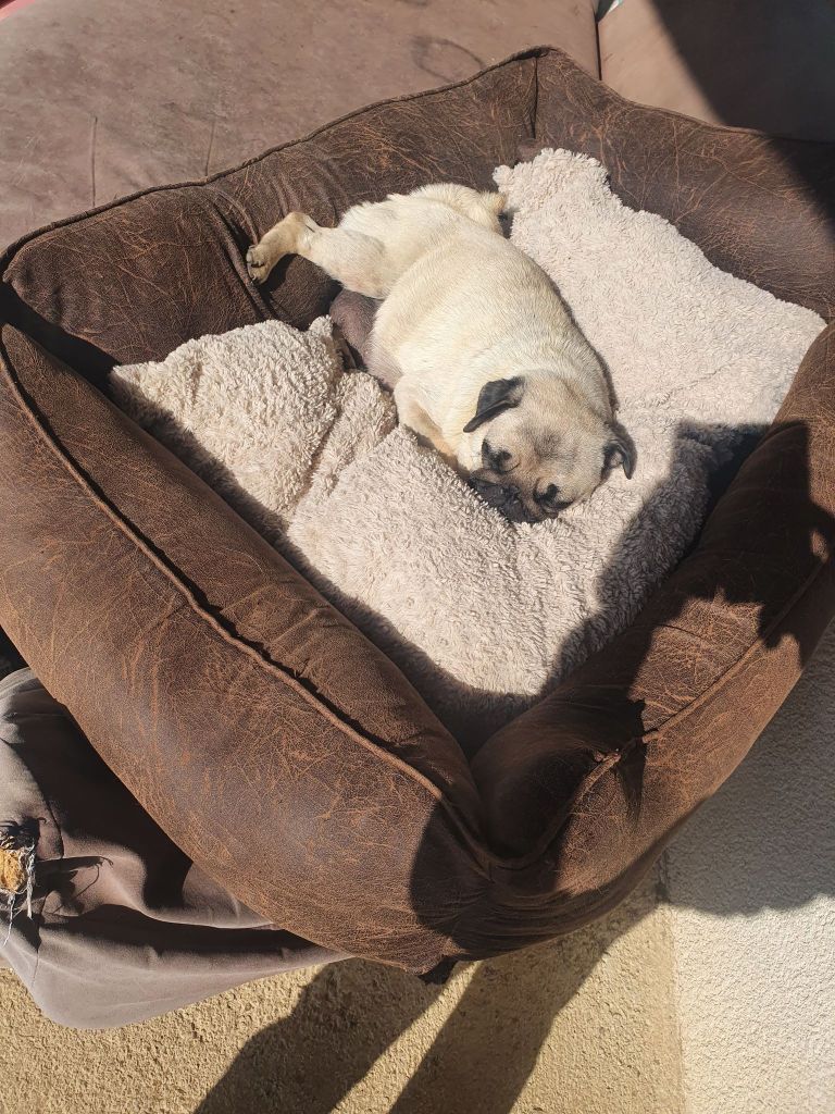 Publication : Des Terres De Miss Blue