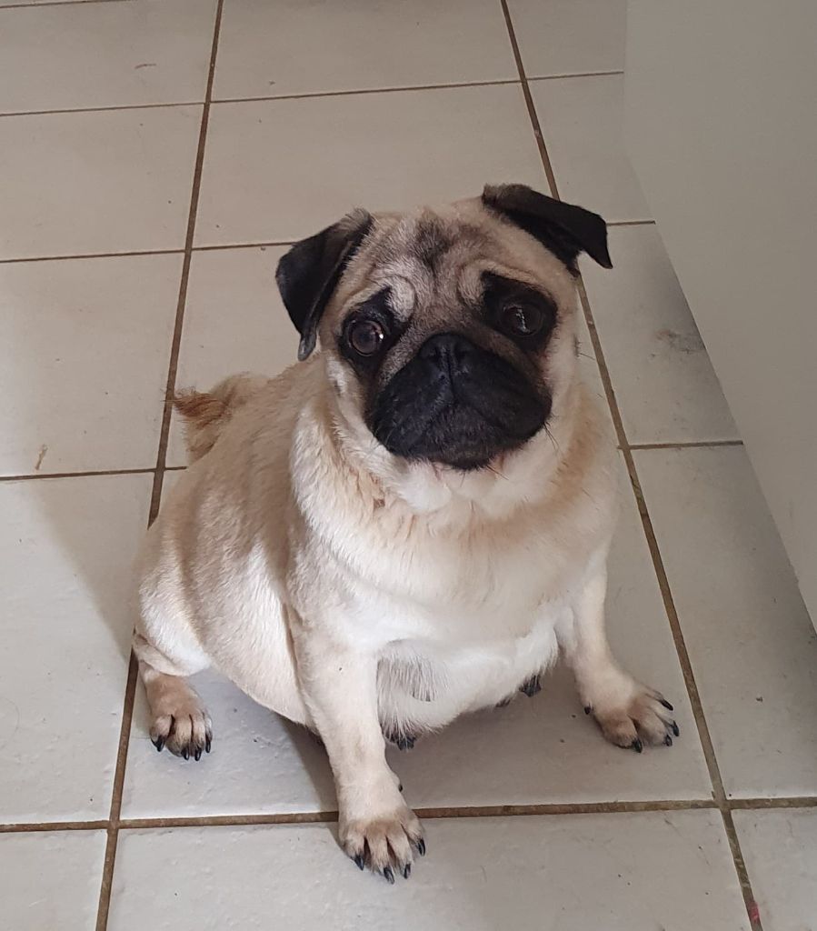 Publication : Des Terres De Miss Blue