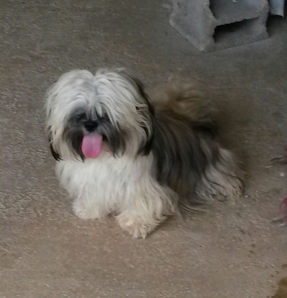 Publication : Des Terres De Miss Blue