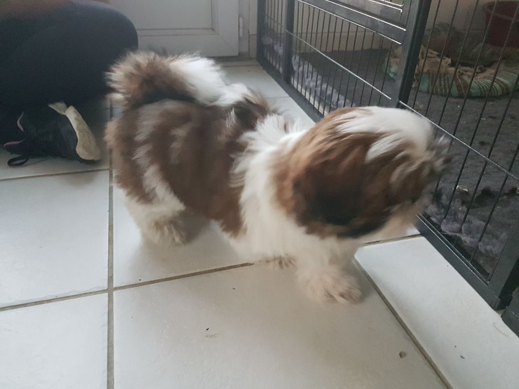 Publication : Des Terres De Miss Blue