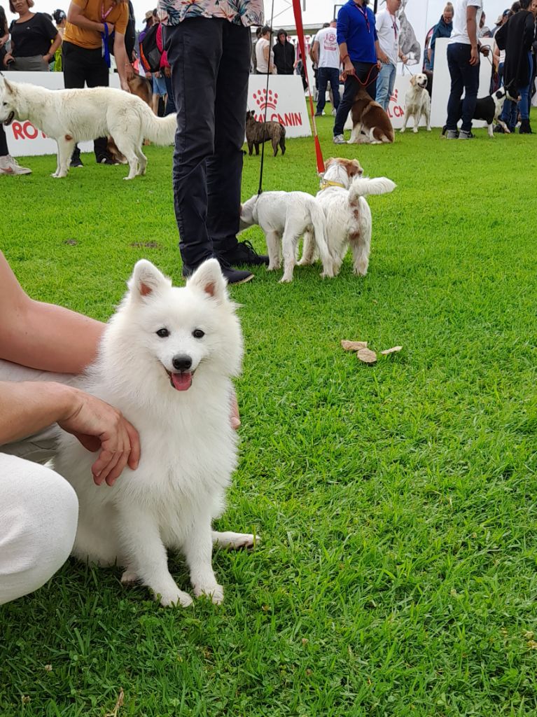 Tsukino chibiusa Du Pays Des Cascades - Très prometteur