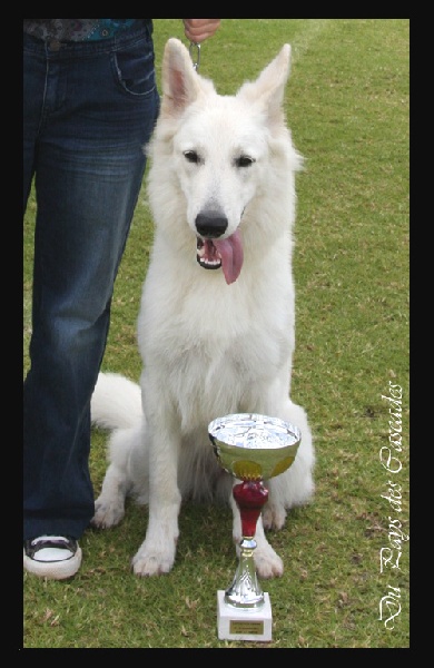 F'Ôkami des Anges Gardiens du Tibre - 1er excellent