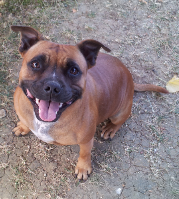 Publication : De La Cite Des Coeurs Auteur : fever