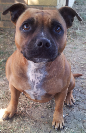 Publication : De La Cite Des Coeurs Auteur : fever