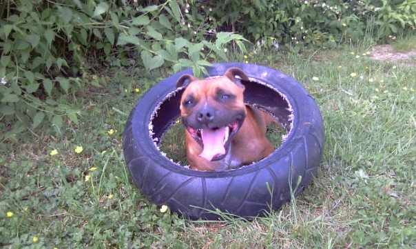 Publication : De La Cite Des Coeurs Auteur : fever