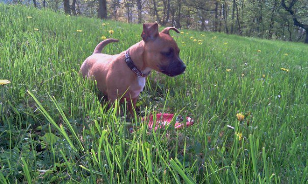 Publication : De La Cite Des Coeurs Auteur : fever