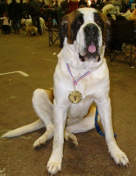 Publication : Des Jardins D'Ushana Auteur : M LEGER Philippe