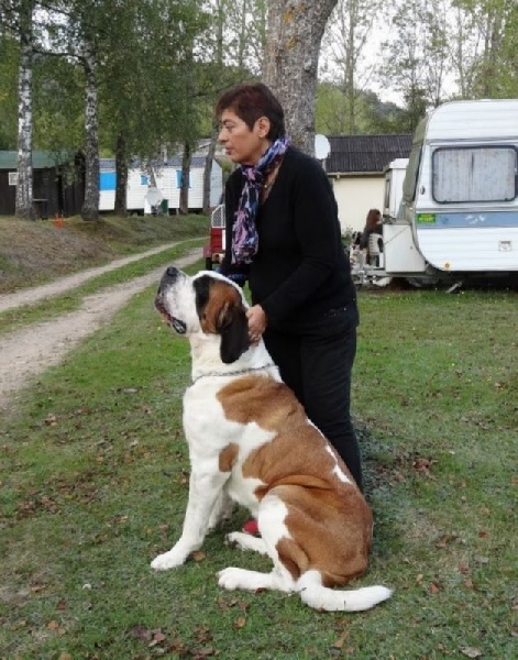 Publication : Des Jardins D'Ushana Auteur : M LEGER Philippe