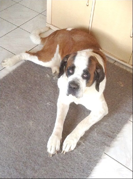 Publication : Des Jardins D'Ushana Auteur : M LEGER Philippe