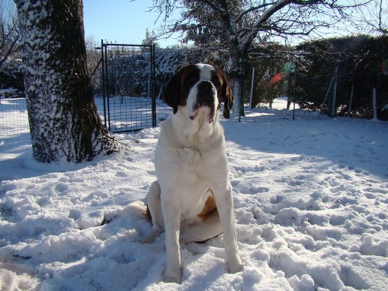 Publication : Des Jardins D'Ushana Auteur : M LEGER Philippe