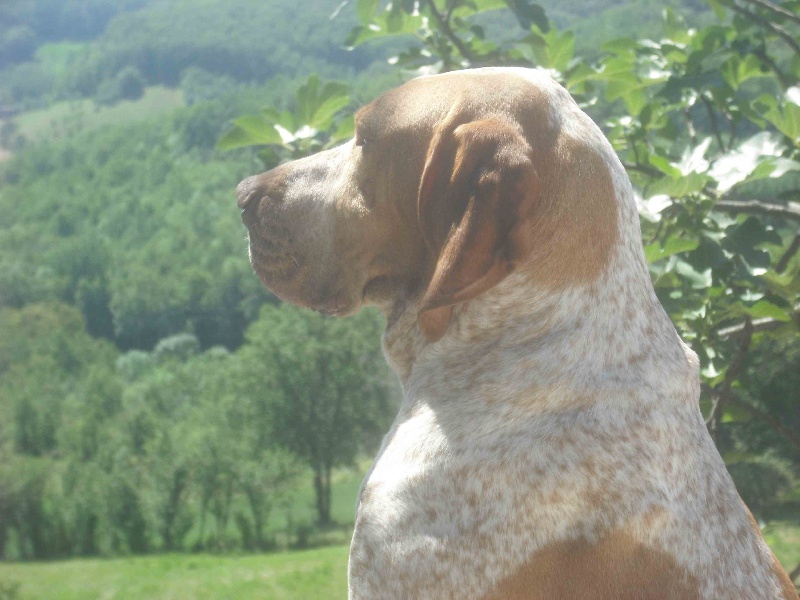 Publication : De Aqui Sen Pla Auteur : C.iordanoff