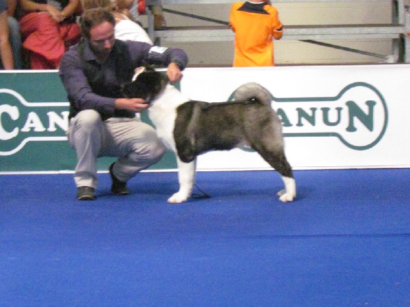 Adixatz Julietta - 1ere Tres Prometeuse en baby femelle