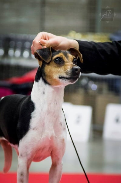 CH. Doce du domaine des Mandets