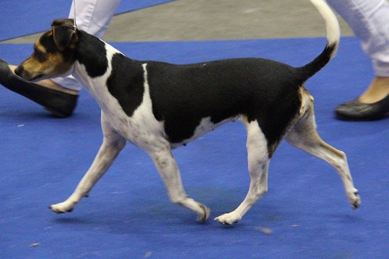 CH. Doce du domaine des Mandets