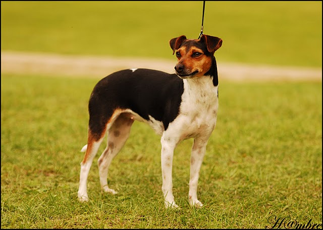 CH. Doce du domaine des Mandets