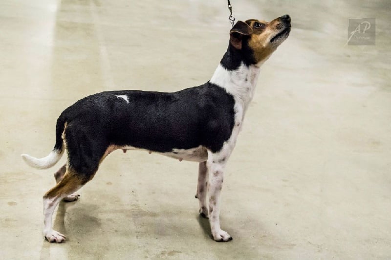 CH. Doce du domaine des Mandets