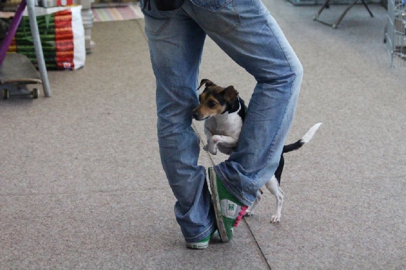 CH. Doce du domaine des Mandets