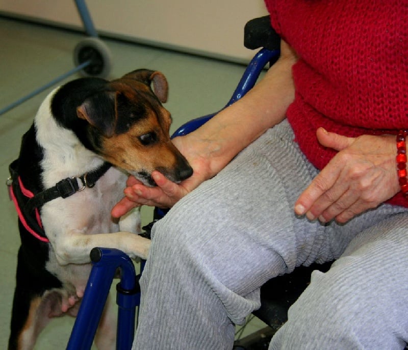 CH. Doce du domaine des Mandets