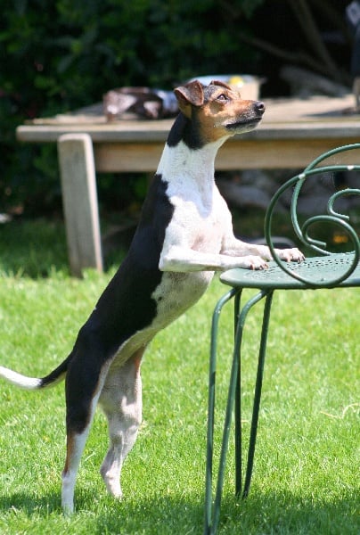 CH. Doce du domaine des Mandets