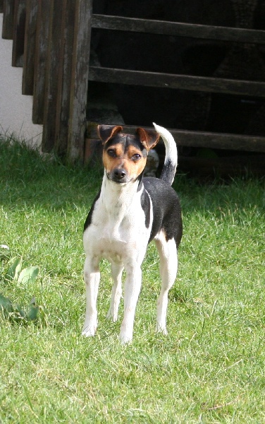 CH. Doce du domaine des Mandets