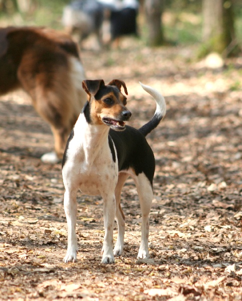 CH. Doce du domaine des Mandets