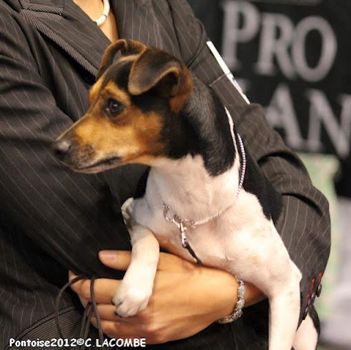 CH. Doce du domaine des Mandets