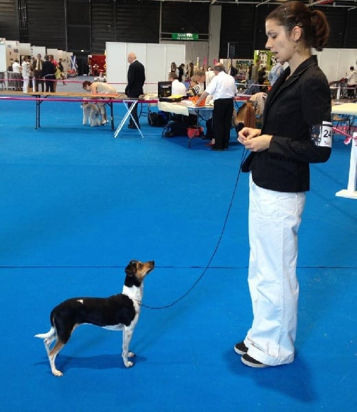 CH. Doce du domaine des Mandets