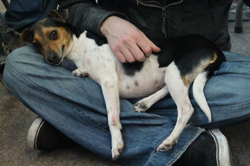 CH. Doce du domaine des Mandets