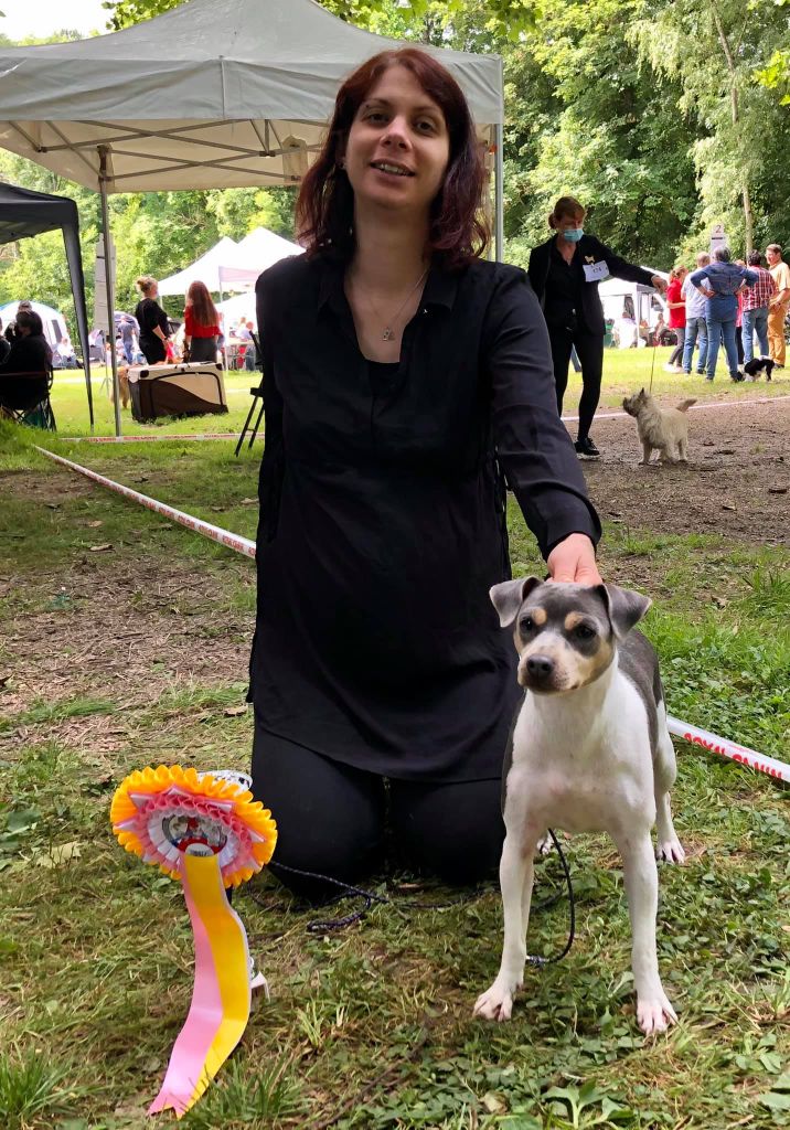 CH. Lucy in the sky from do jardim imbui - 1ère Excellent - CACS - Meilleure de sexe opposé