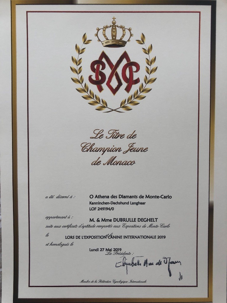 Publication : Des Diamants De Monte-Carlo Auteur : Athéna Janvier 2019