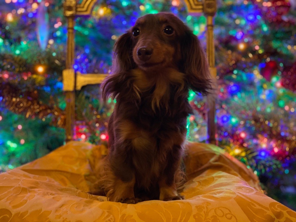 Publication : Des Diamants De Monte-Carlo Auteur : Les Diamants de Monte-Carlo