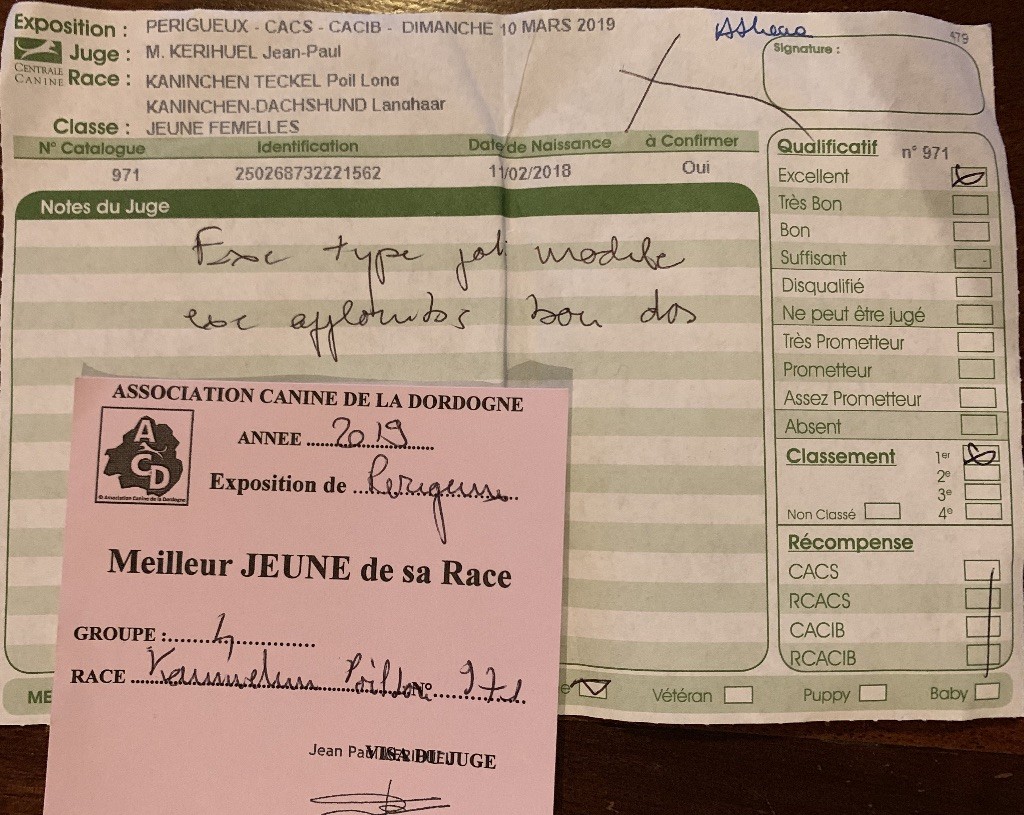 CH. O athéna Des Diamants De Monte-Carlo - 1er EXCELLENT - MEILLEURE JEUNE DE SA RACE