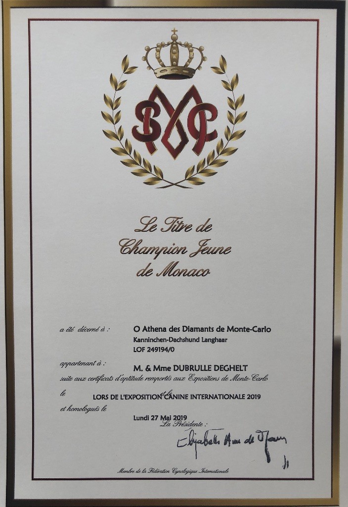 CH. O athéna Des Diamants De Monte-Carlo - 1er EXCELLENT JEUNE. CHAMPION JEUNE MONACO KANINCHEN FEMELLE