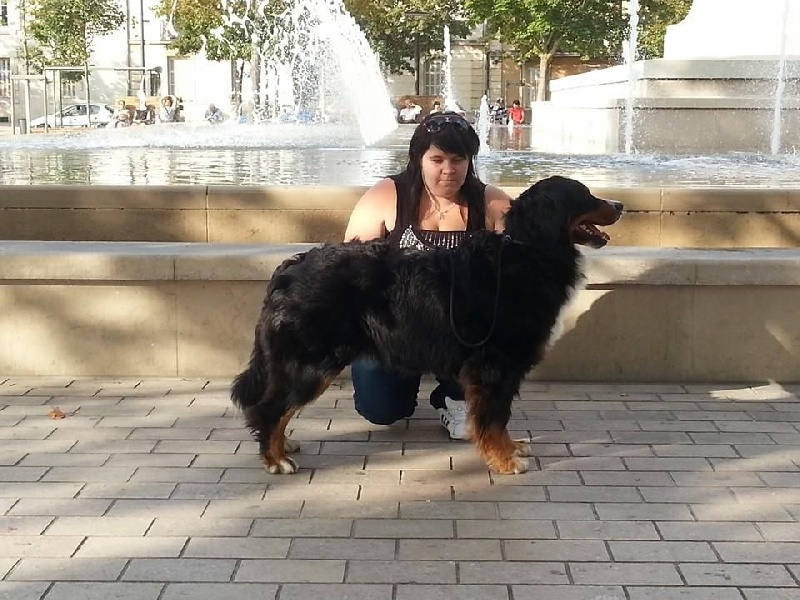 Gout de luxe du royaume des reves - 4ieme excellent