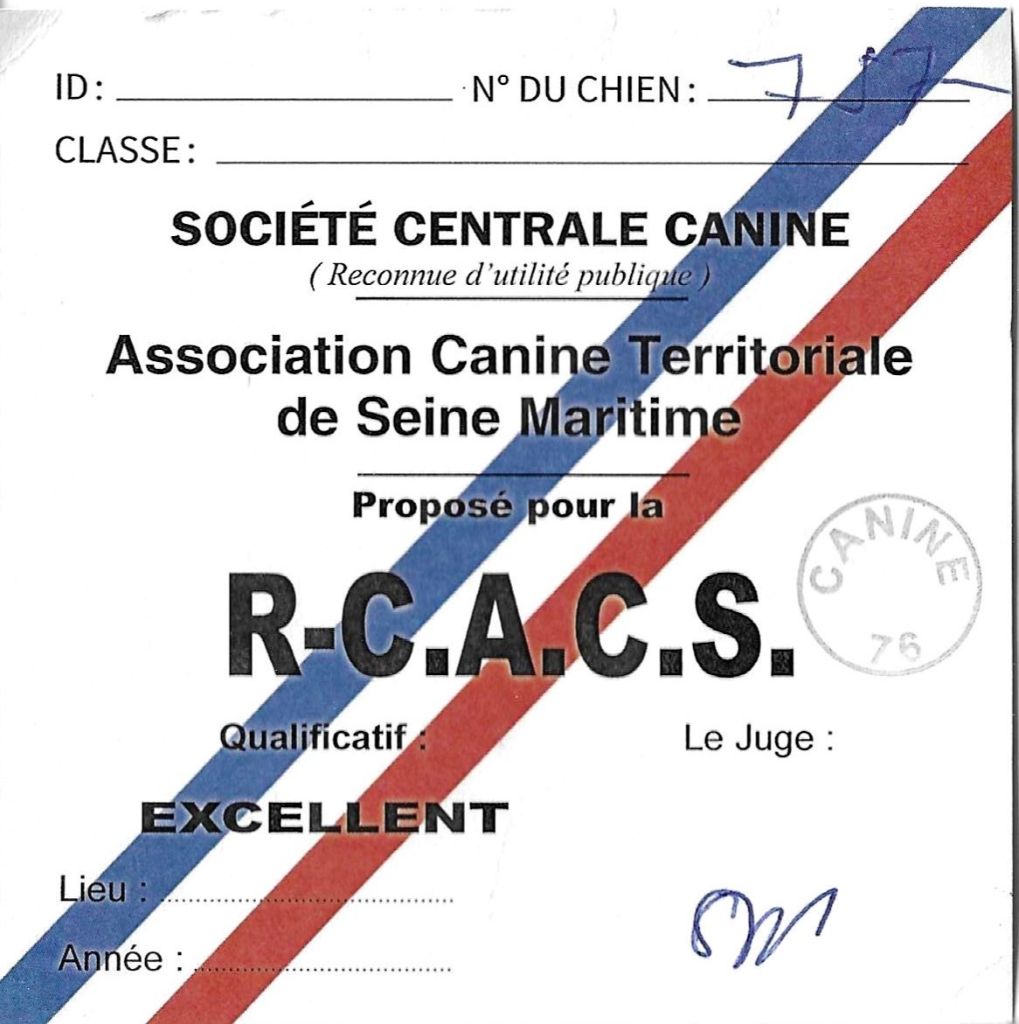 Angel Undercover The time of my life - 1er.excellent.classe ouverte.RCACS