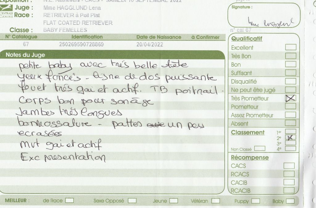 Angel Undercover The time of my life - 2ème Très Prometteur.classe baby