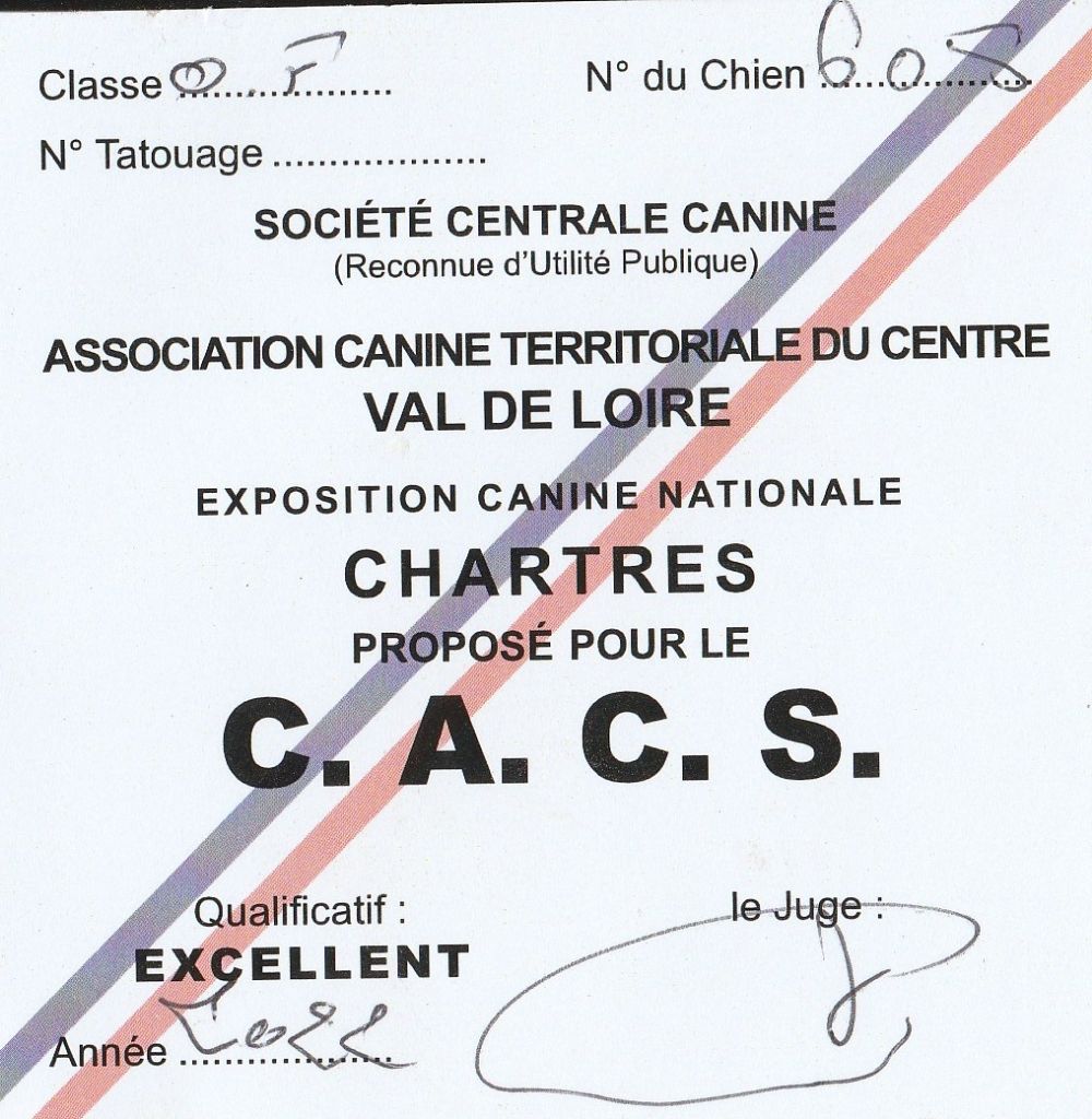 Play the game Des Terres De Flore - 1er.excellent.cl.ouverte.CACS-Meilleur de sexe opposé