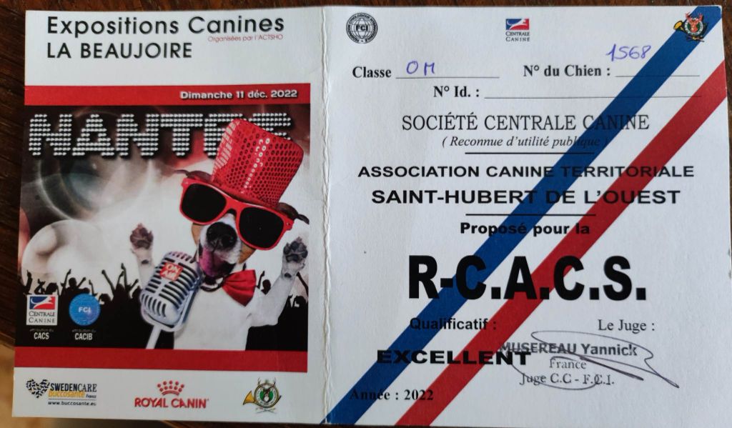 CH. Back on the track ceresna lipov - 1er.excellent.classe ouverte.RCACS